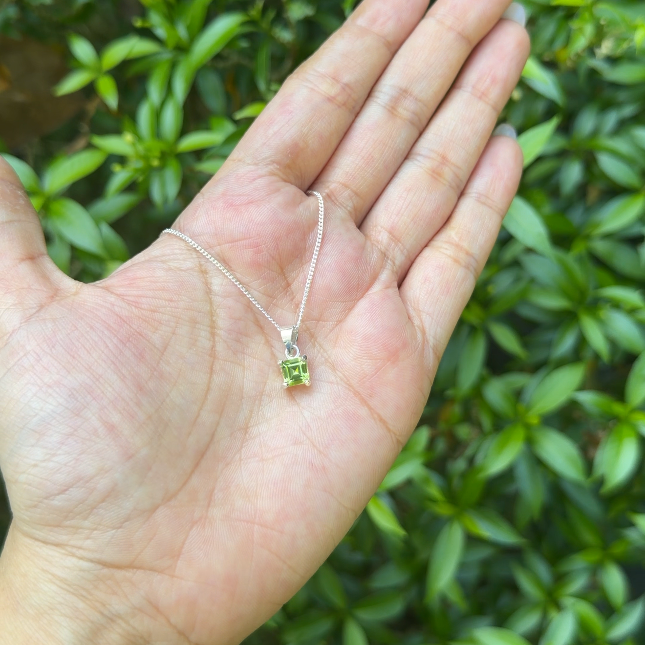 Peridot Verena Necklace - CLJ748P