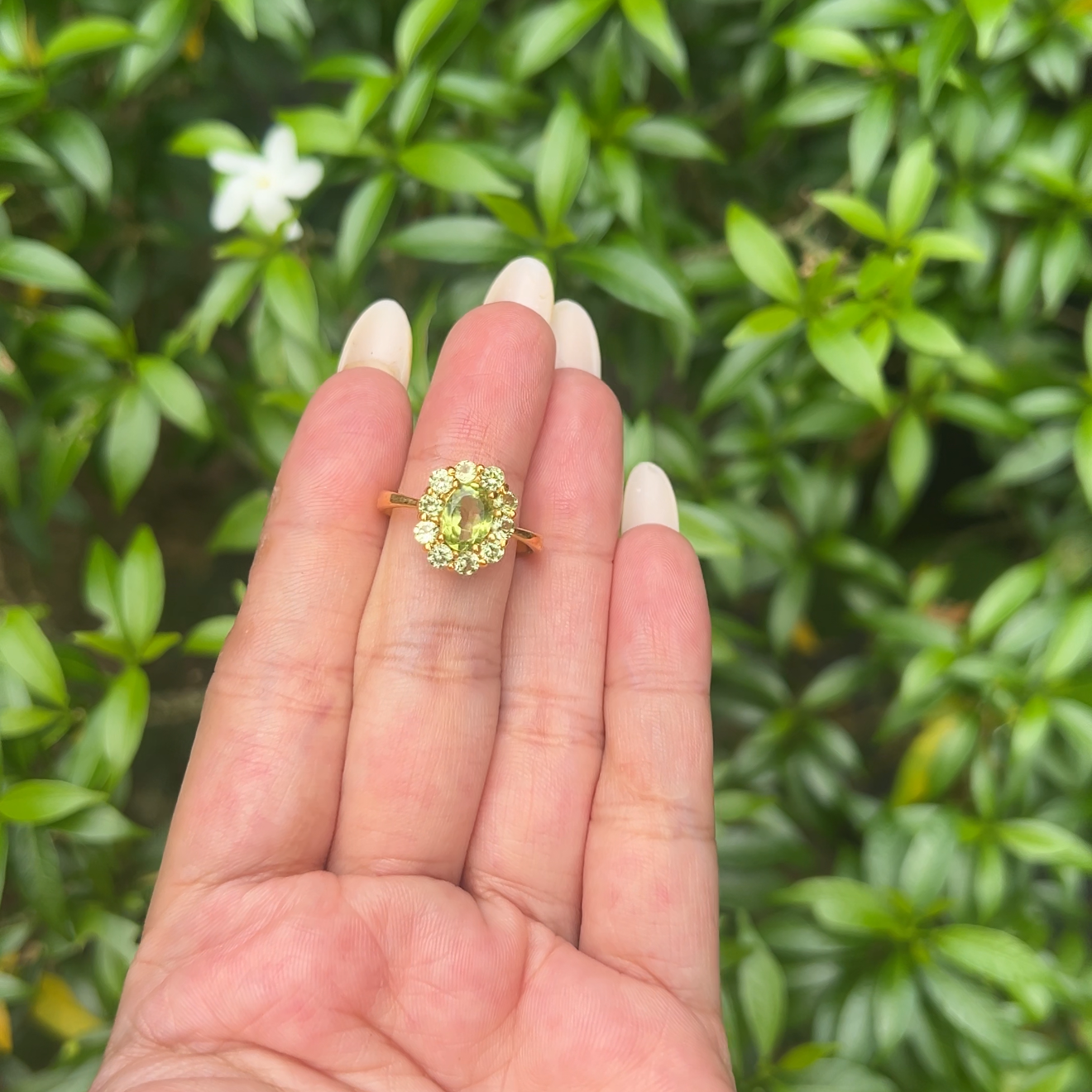 Peridot Aura Ring - CLJ886