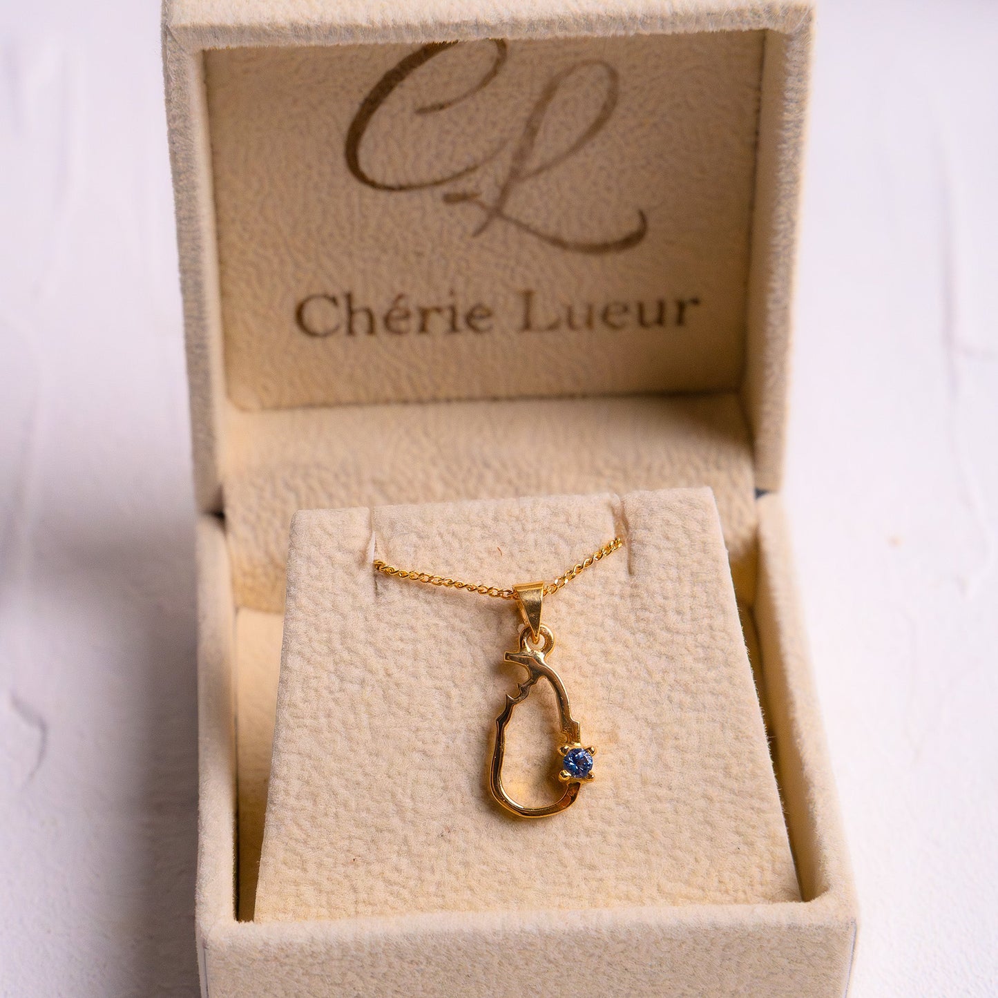 Blue Sapphire Sri Lankan Map Necklace - CLJ789BS