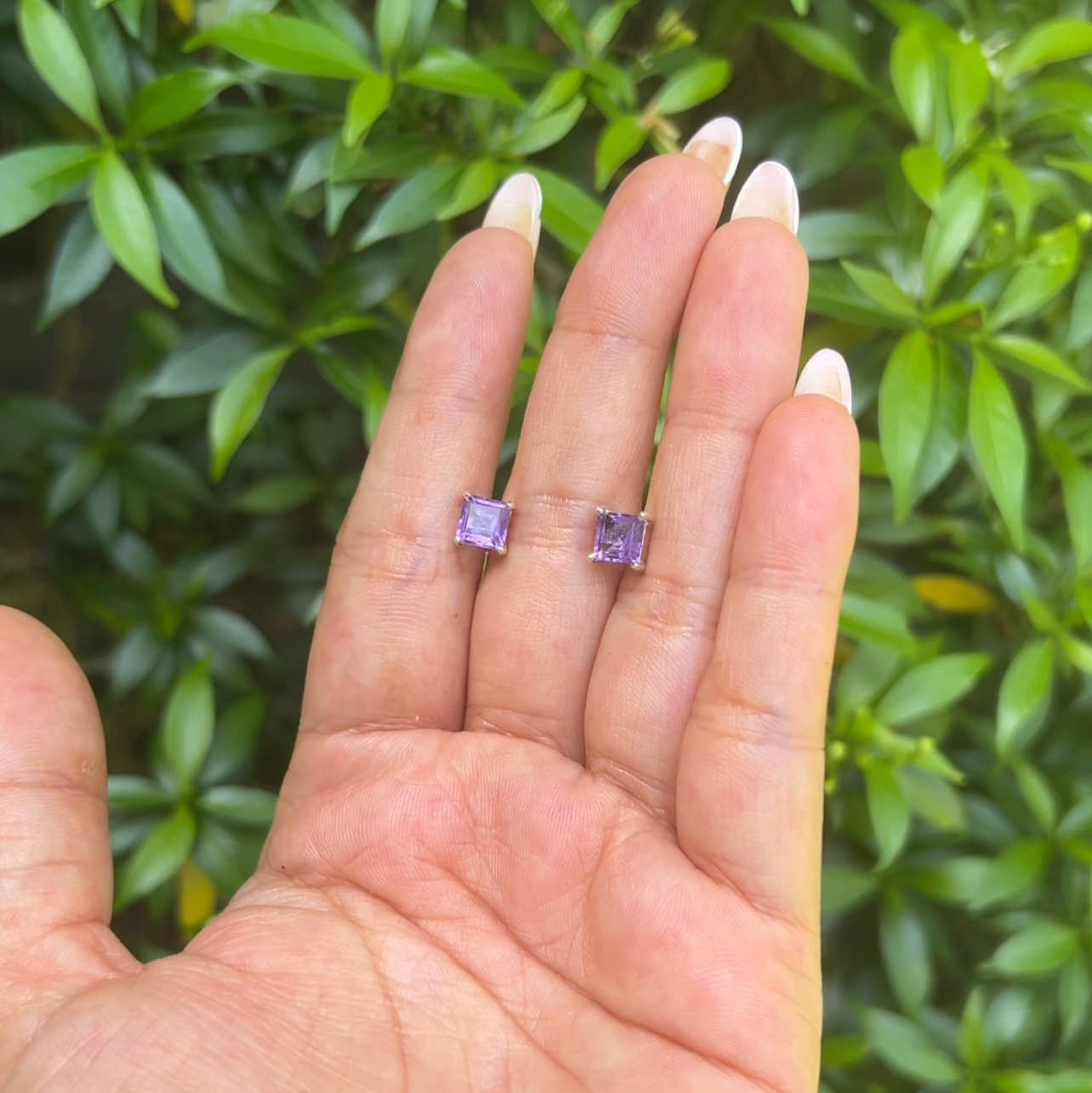 Amethyst Ivyana Earrings - CLJ589AE