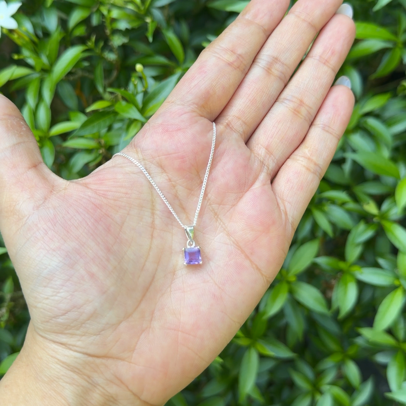 Amethyst Verena Necklace - CLJ748A